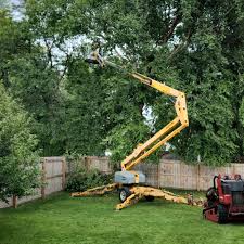 Best Hedge Trimming  in Grand Blanc, MI